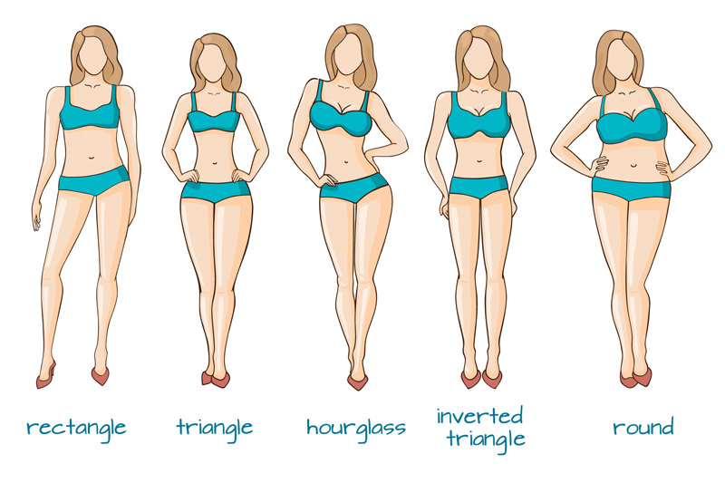 Body-Types.jpg