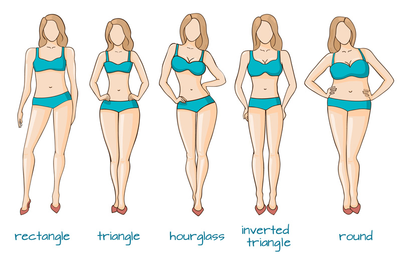 Image result for body shape