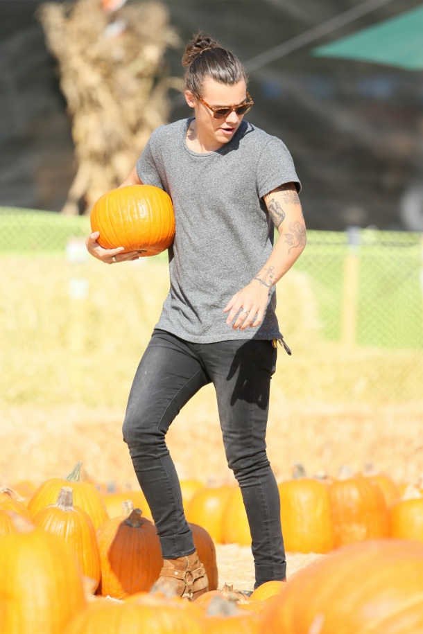 harry-styles-paige-womens-jeans