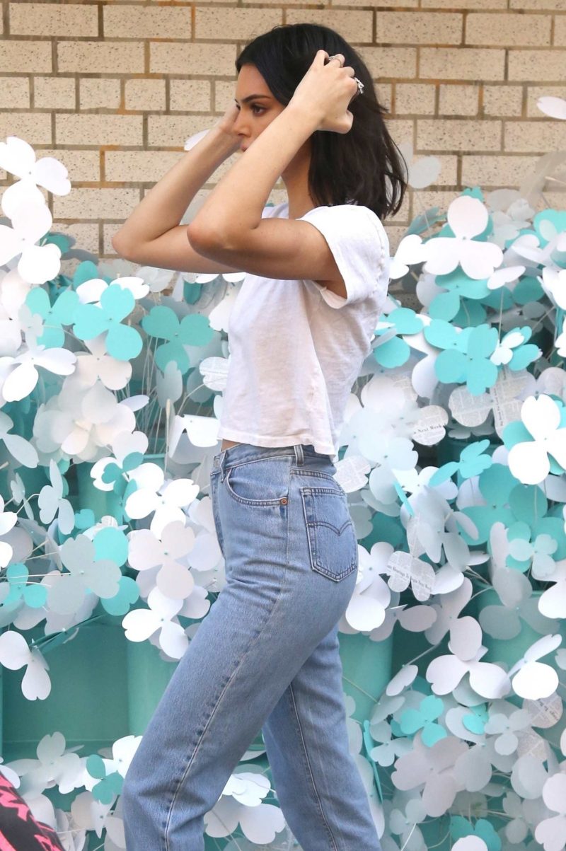 Kendall Jenner Mom Jeans Outfit - High Waisted Denim